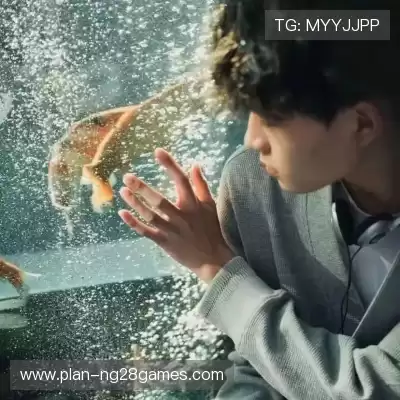 顾益葵
